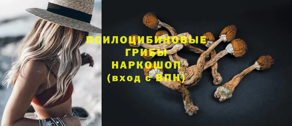 винт Алексин