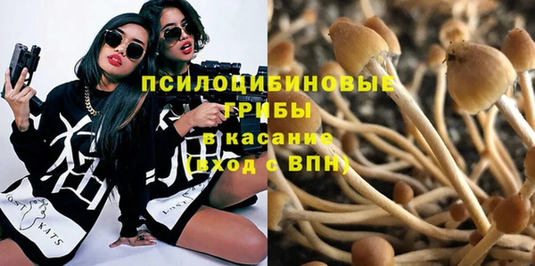 дмт Абаза