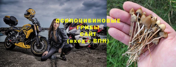 гидра Абдулино