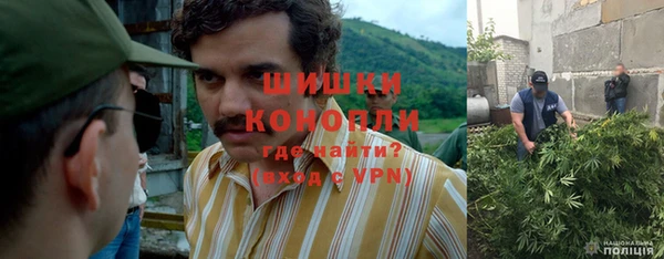 винт Алексин