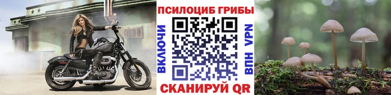 Псилоцибиновые грибы мицелий  дарнет шоп  Ивдель 